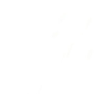 Meet your Posher, Aria